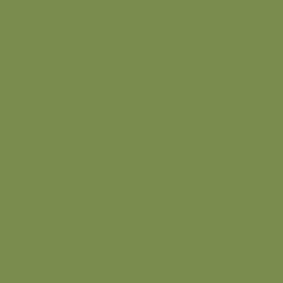 Kiwi Grün  
